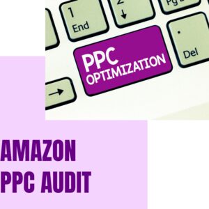 PPC AUDIT SERVICE